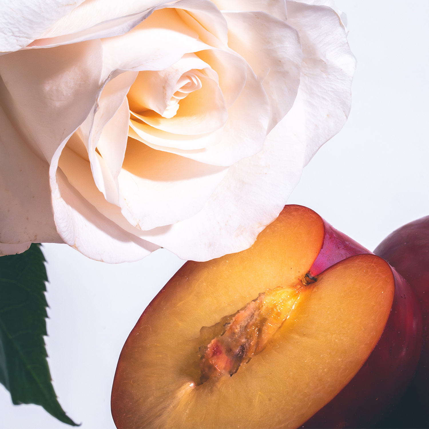 Amber Plum Candle