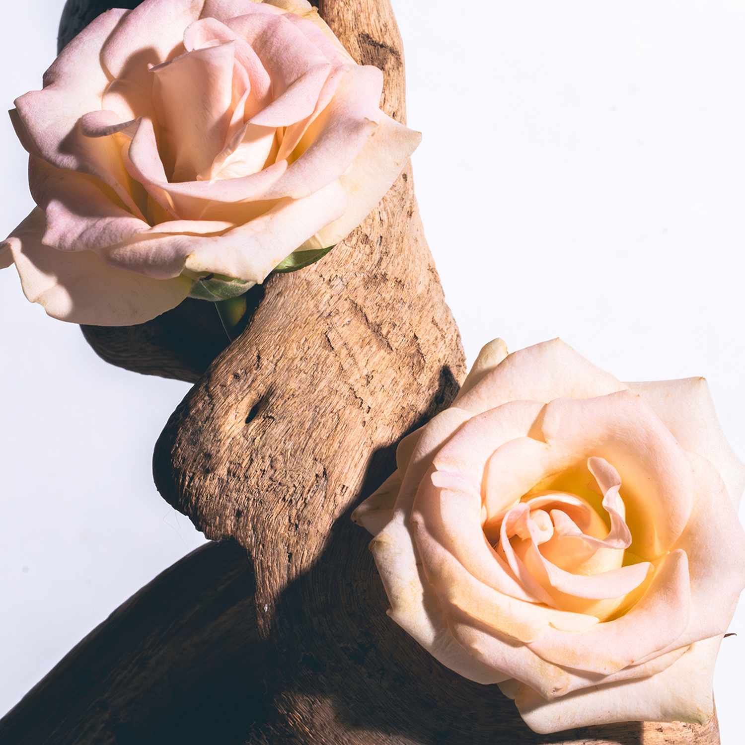 Cedar Rose Room Spray - Petite