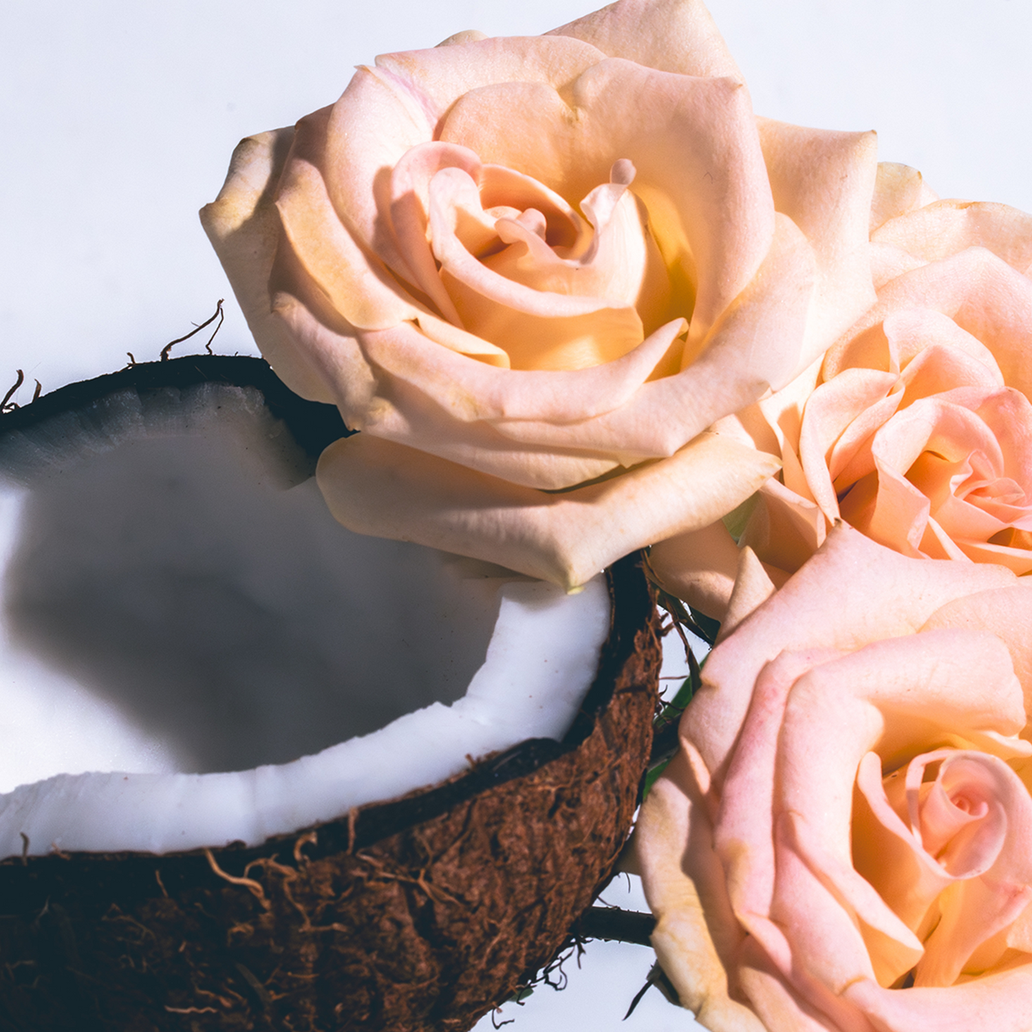 Coconut Flora Room Spray