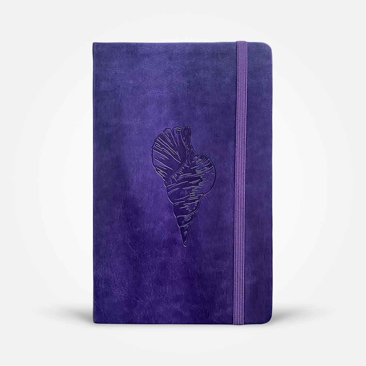 Call of the Conch Shell Notebook