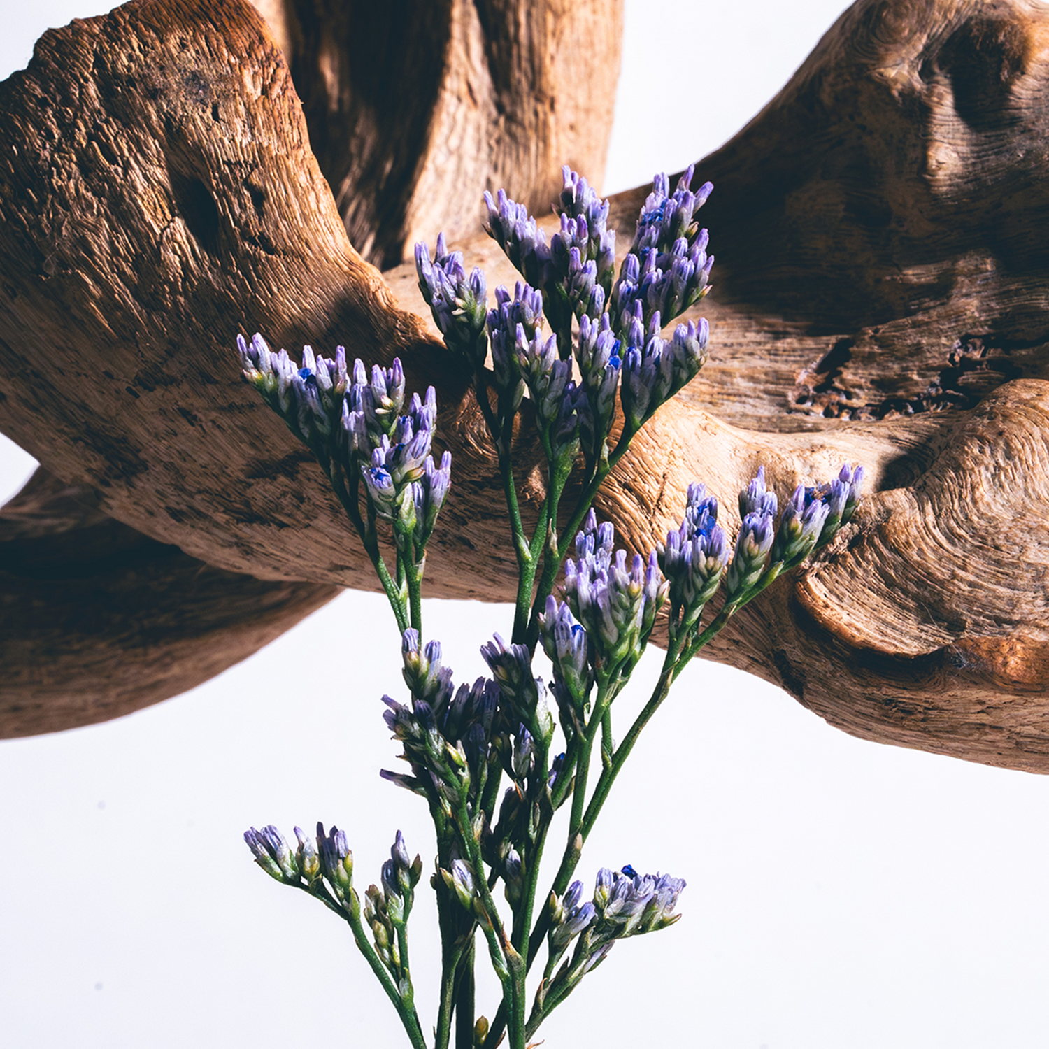 Lavender Bergamot Room Spray - Petite