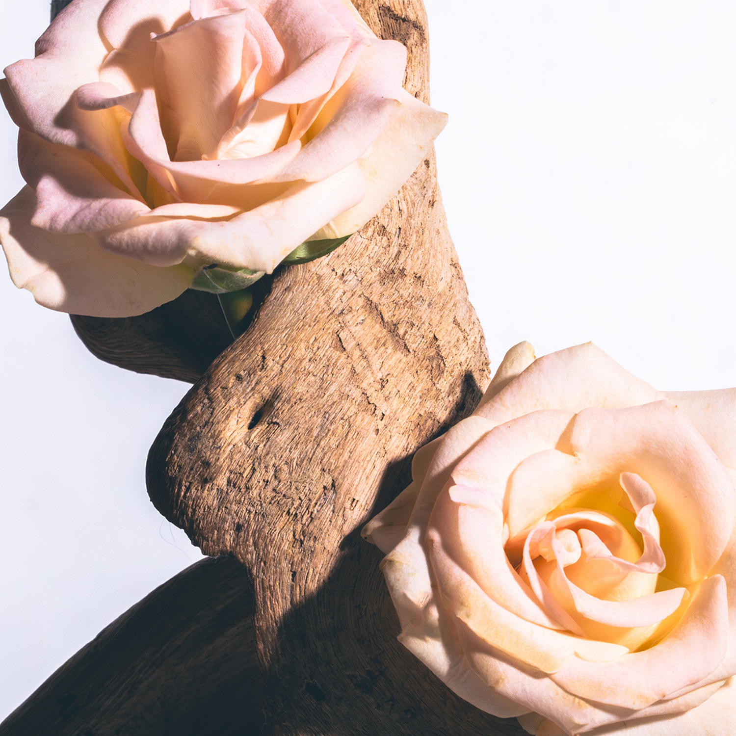 Peach Magnolia Candle