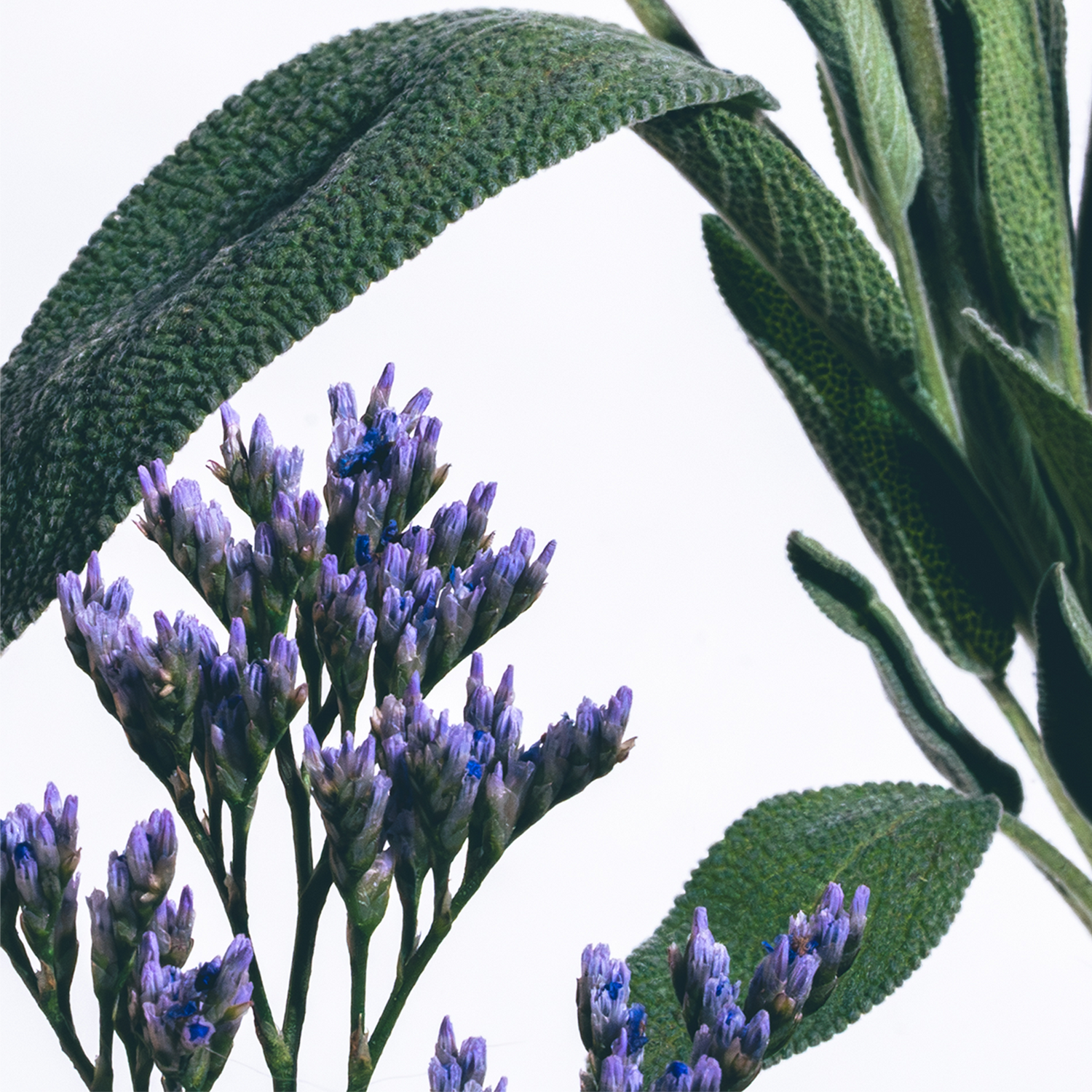 Rosemary Mint Room Spray