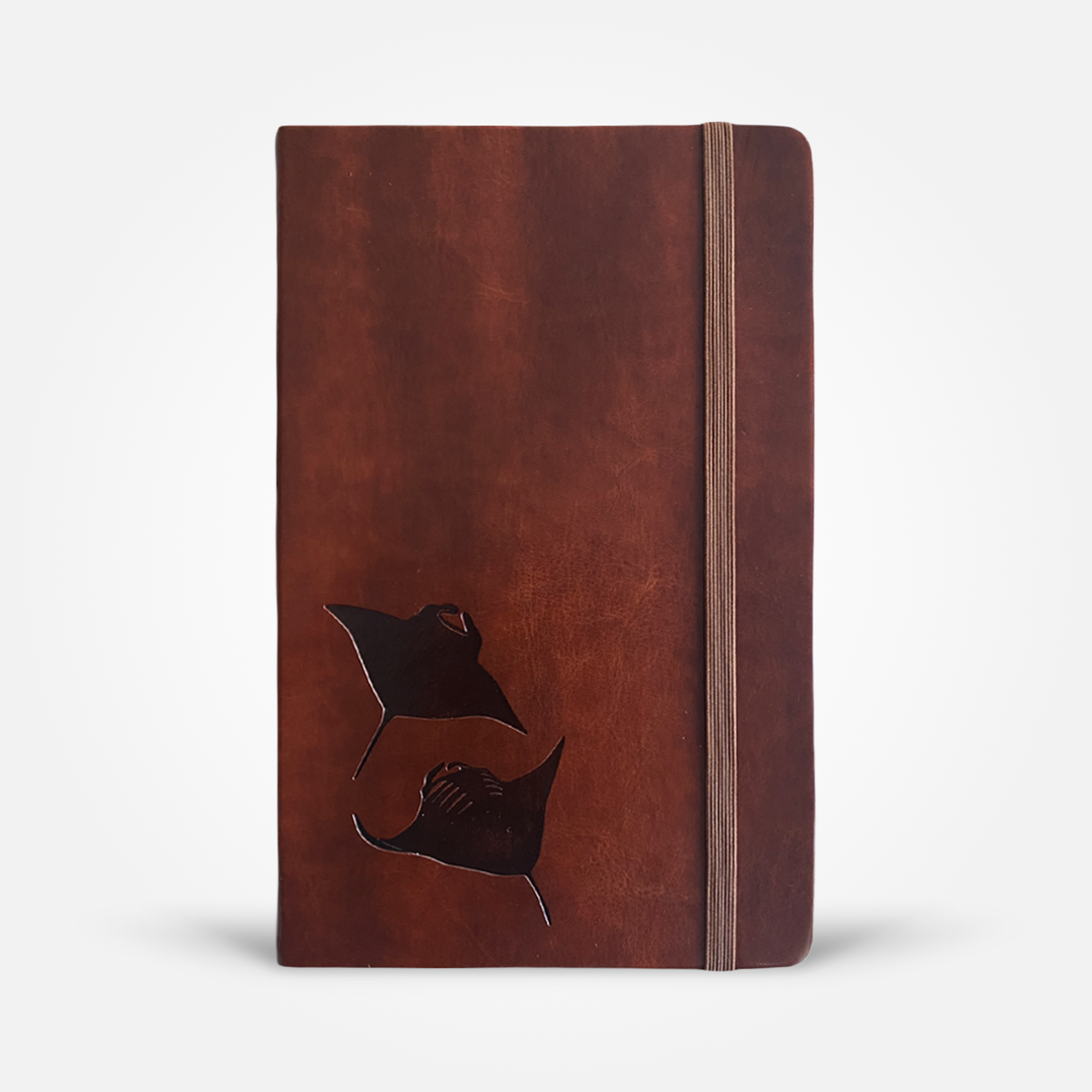 Two Mantas Notebook