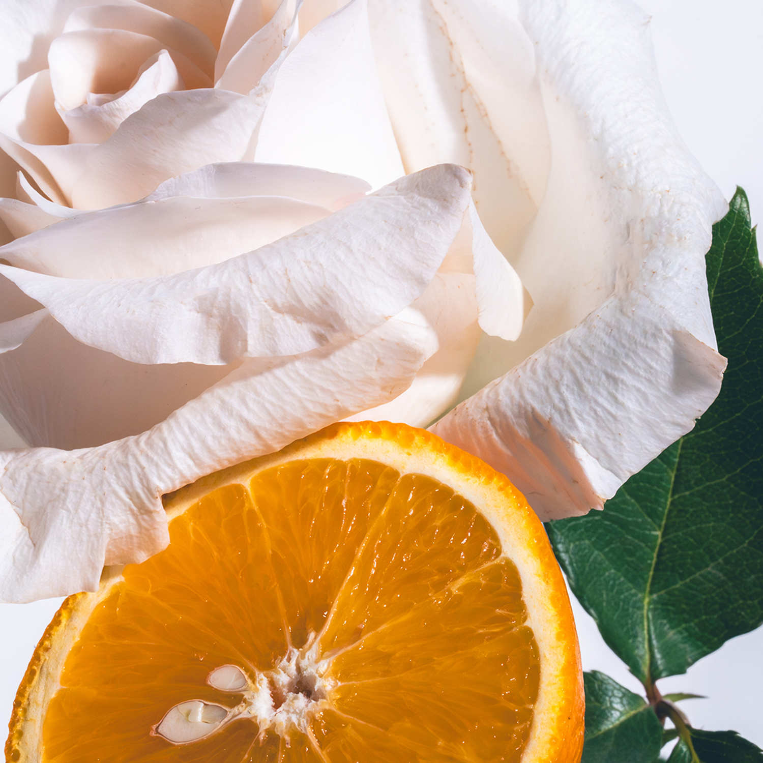 White Tea Room Spray